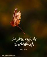 خدای مهربان _سوره‍ مری‍‌م آی‍‌ه‍‍ ۳۹