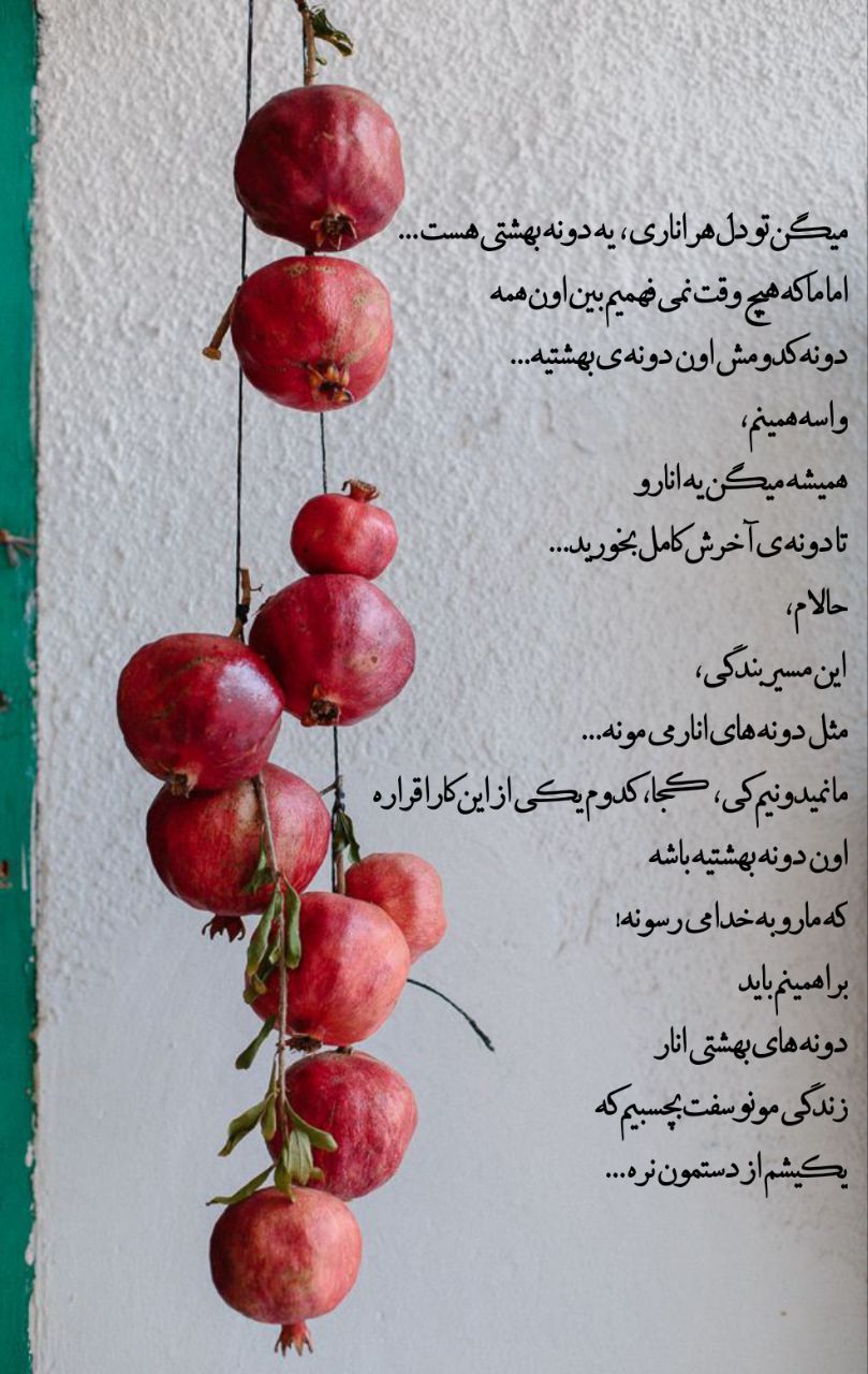 زندگی مثل انار