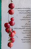 زندگی مثل انار